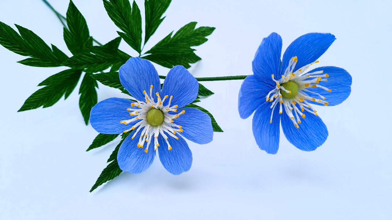 How To Make Blue Wood Anemone Paper Flower / Paper Flower / Góc nhỏ Handmade