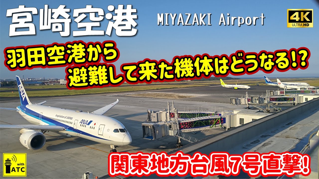 【宮崎空港】関東地方台風7号直撃! 羽田空港から避難して来た機体はどうなる!?  ～ Miyazaki Airport Landing & Takeoff (2024/8/16 & 8/17)