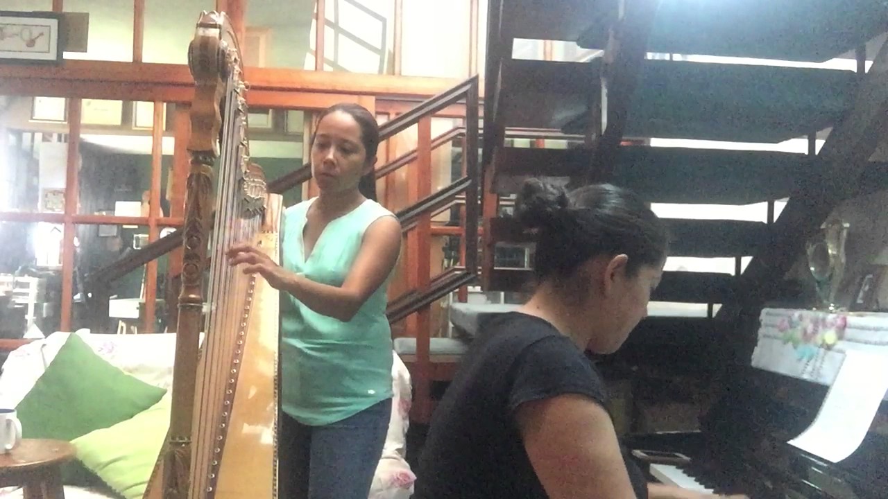 La bruja piano y arpa jarocha