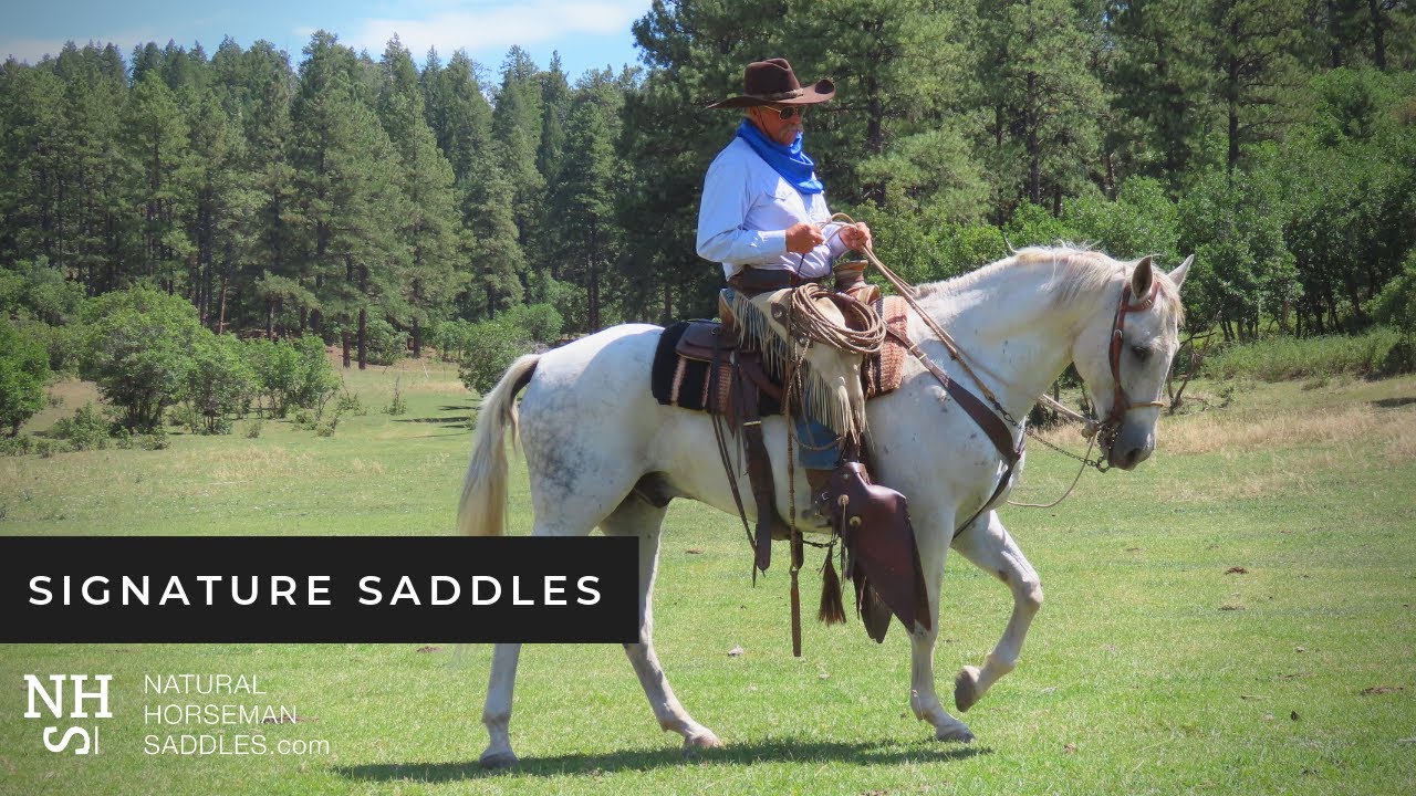 DAVID ELLIS - VAQUERO STYLE HORSEMAN