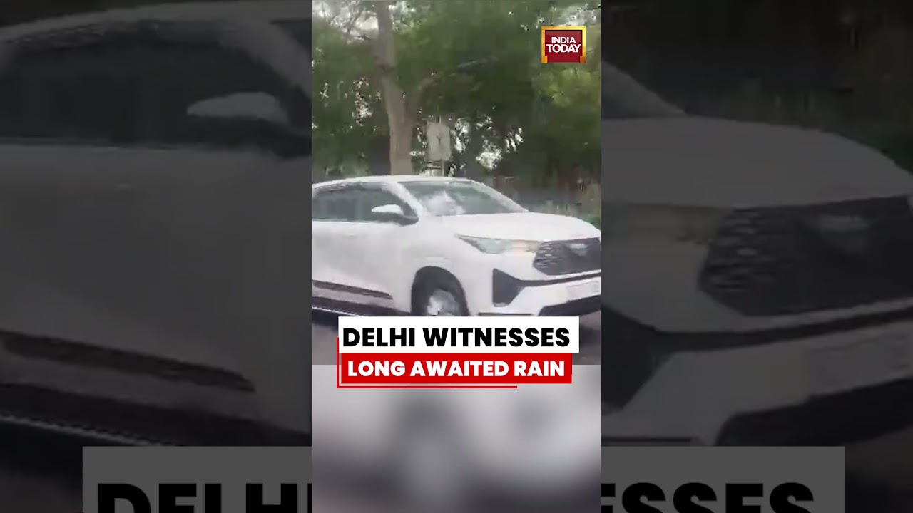 Monsoon Relief in Delhi | Long-Awaited Rain Hits City | Sudden Rain Ends Heat Stress #monsoon #delhi