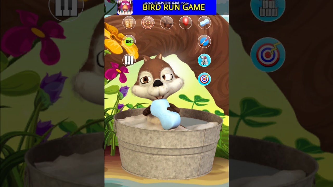 talking baby squirrel app game