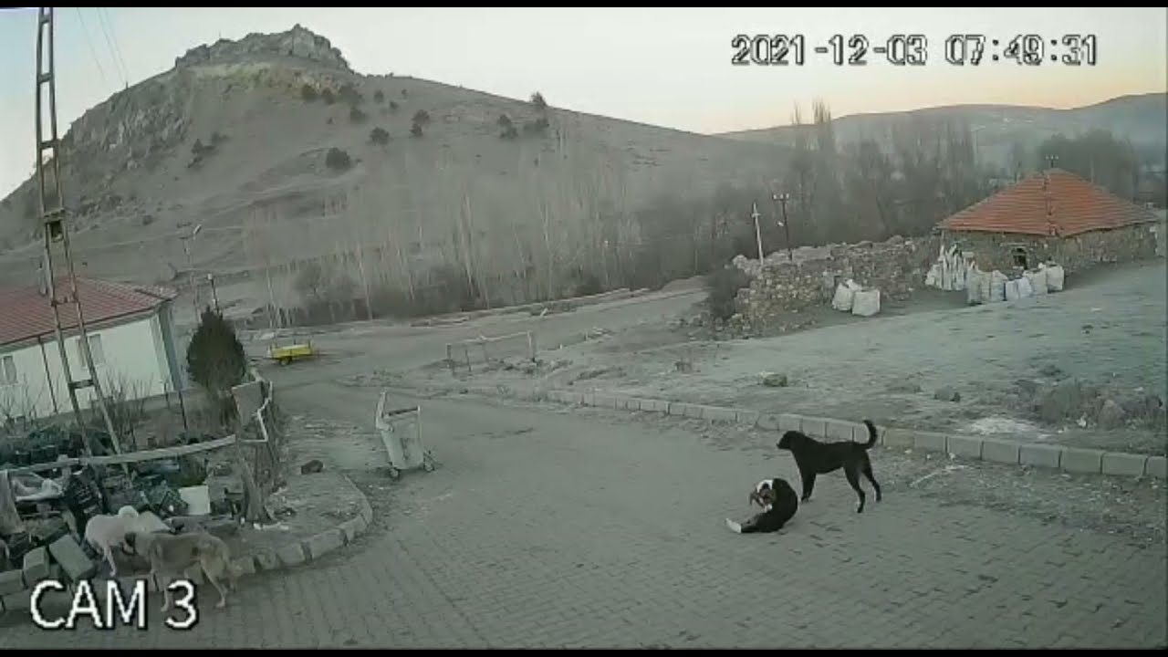 3 KAMERA AYRI AYRI GÖRÜNTÜLER güvenlik kamerası görüntüleri