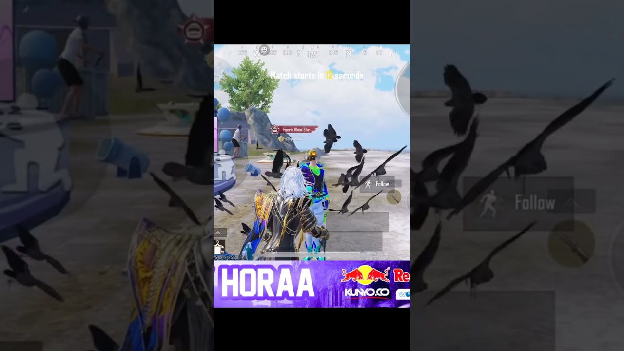 skyHORAA goat #horaaesports
