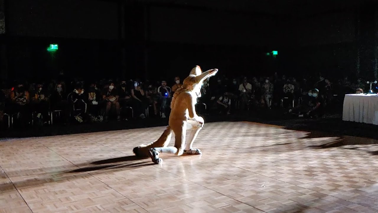 Mountain Joe Fox - Dance Comp - GSFC 2022