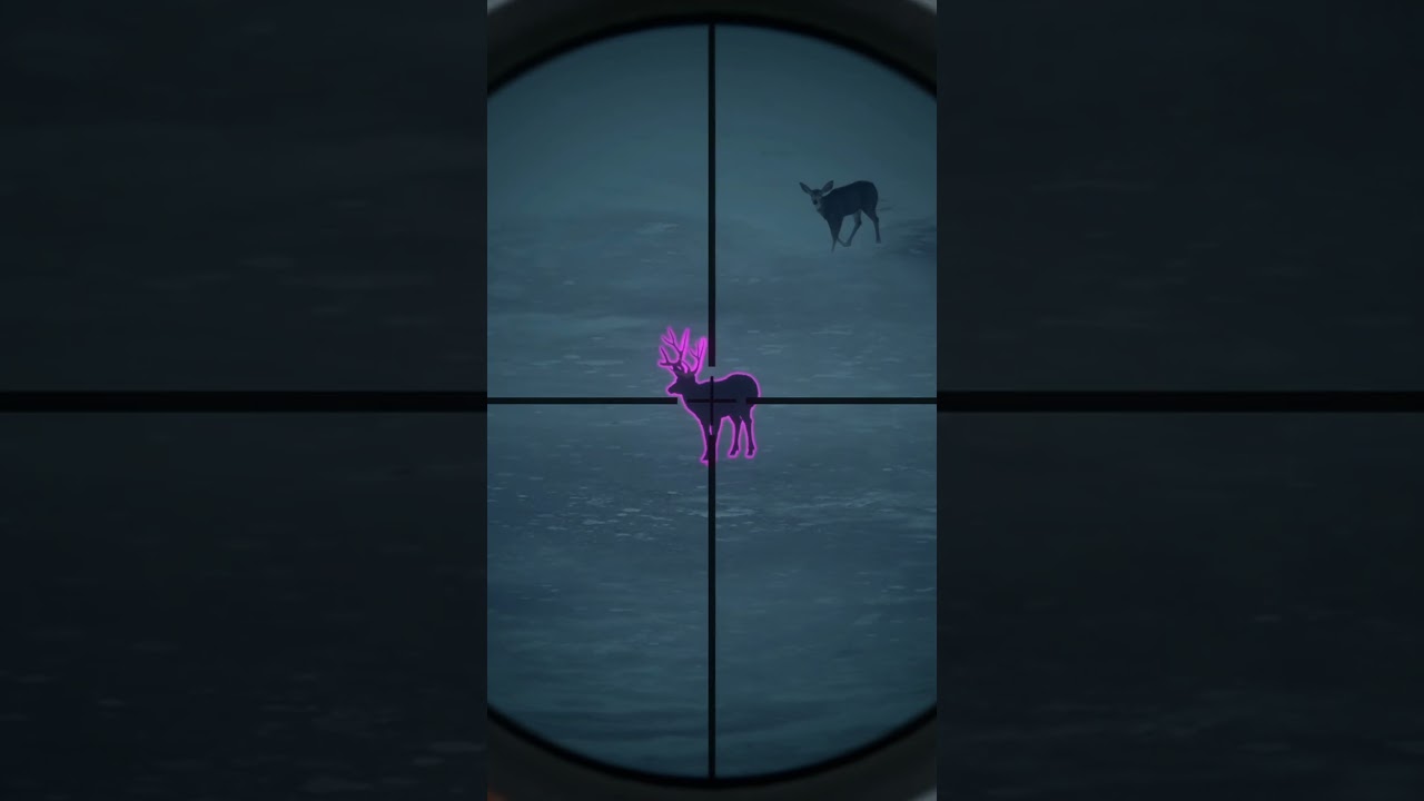I FOUND A HUGE MELA MULE DEER! theHunter: Call of the Wild!