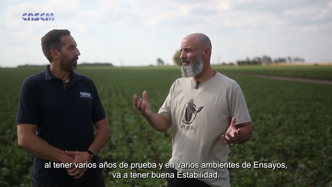 Qué tener en cuenta cuándo se produce semilla de soja