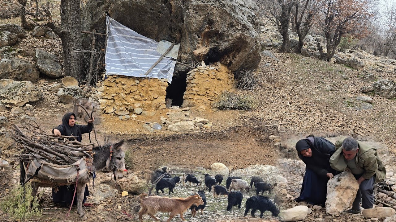 Cave life in the mountains | Traditional cooking and cooking rice with curd on the fire