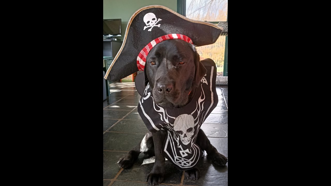 The Pirate Who Wouldn't Wash