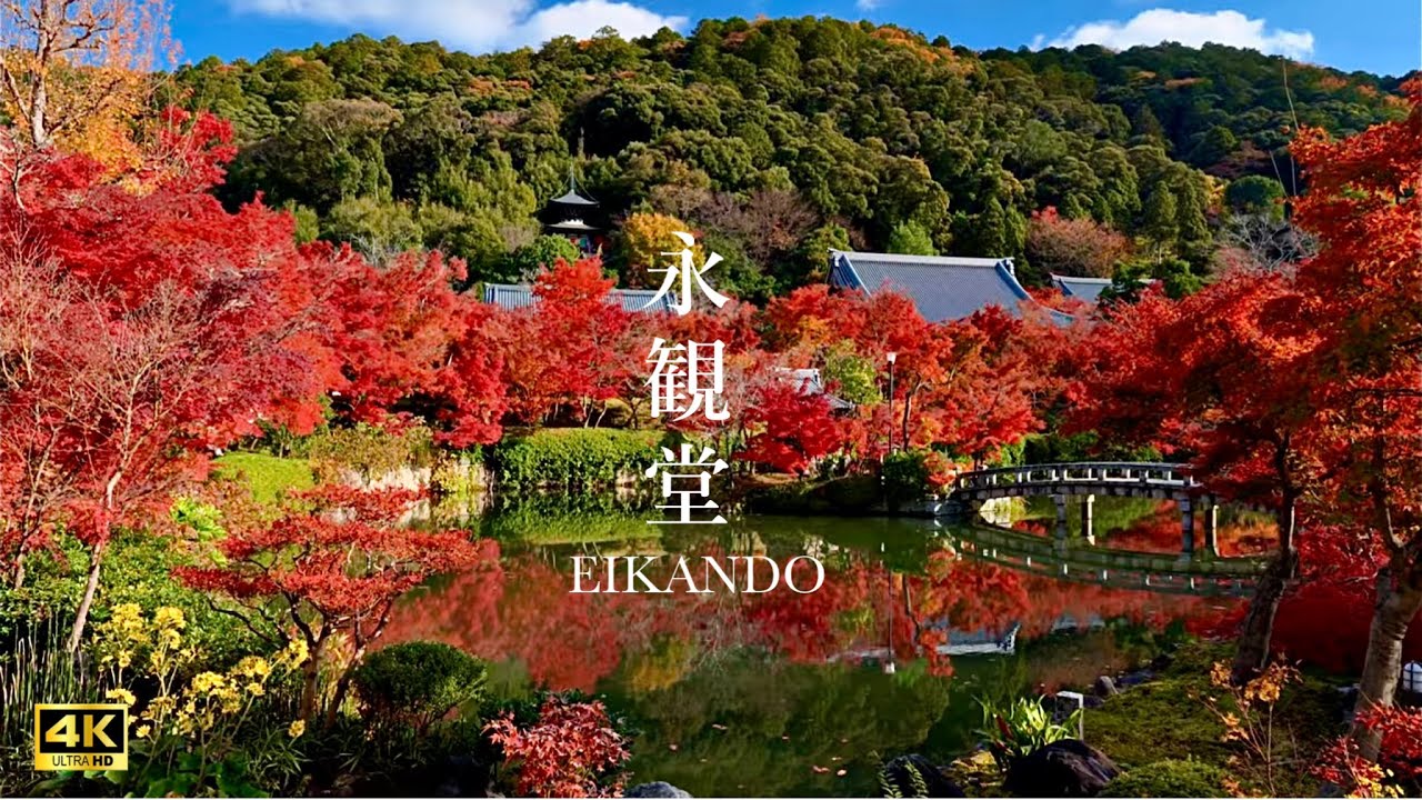 京都の紅葉　永観堂