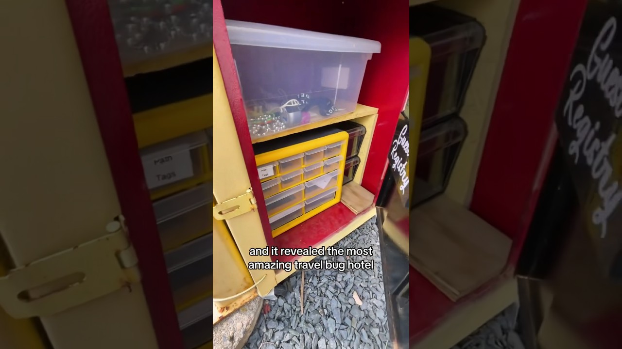 Amazing Travel Bug Hotel Hidden In Plain Sight! #geocaching #geocache #hiddeninplainsight