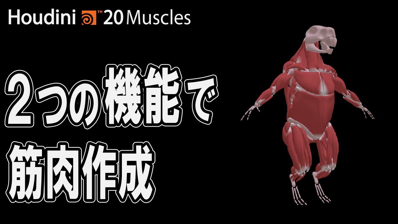 【Houdini 20新機能】新しいFranken Muscleの紹介