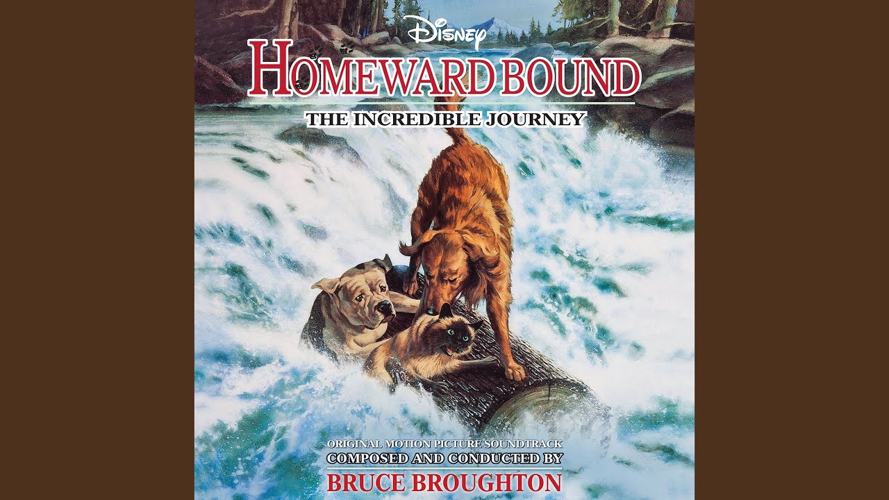 Homeward Bound (Revised)