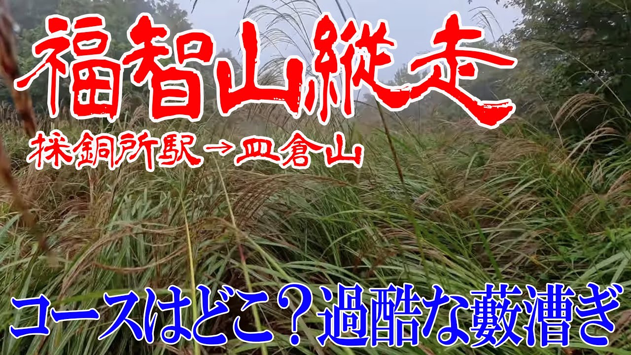 【福岡県 福智山縦走】過酷な藪漕ぎ！採銅所駅から皿倉山迄ロングコースを縦走✨