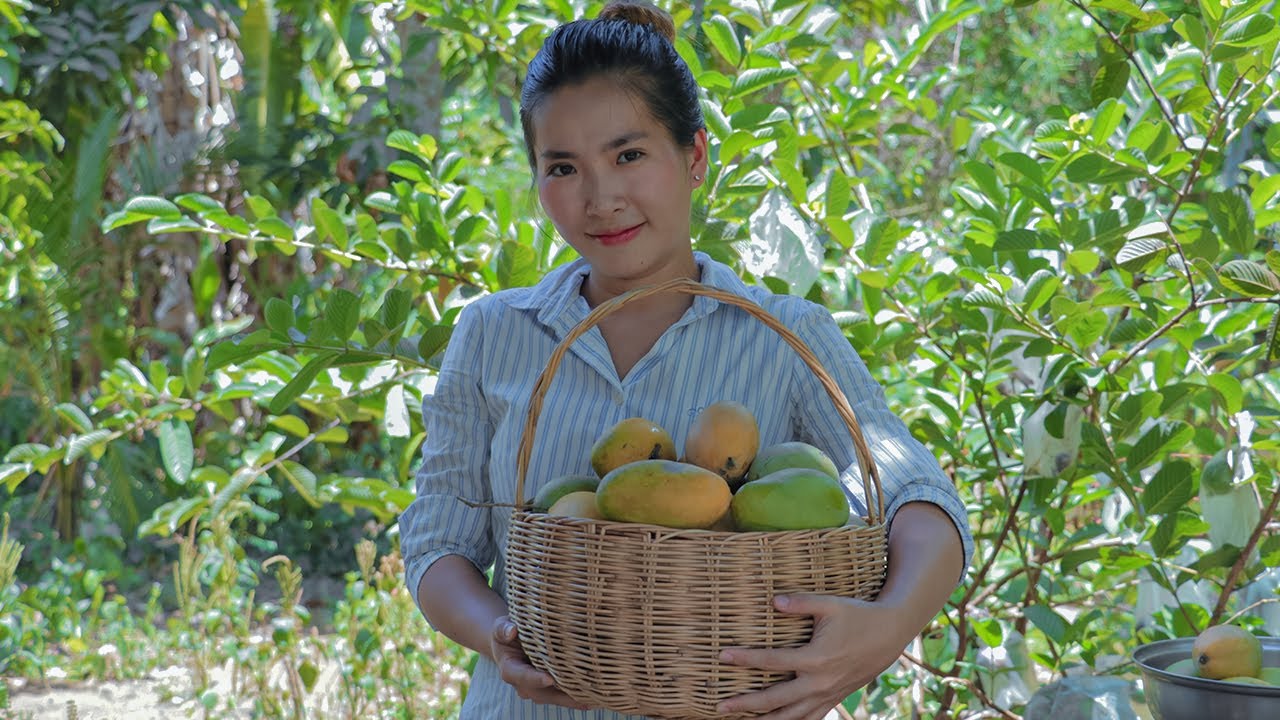 Making Tasty Dried Jam Mango In My Homeland - Chettra Cooking