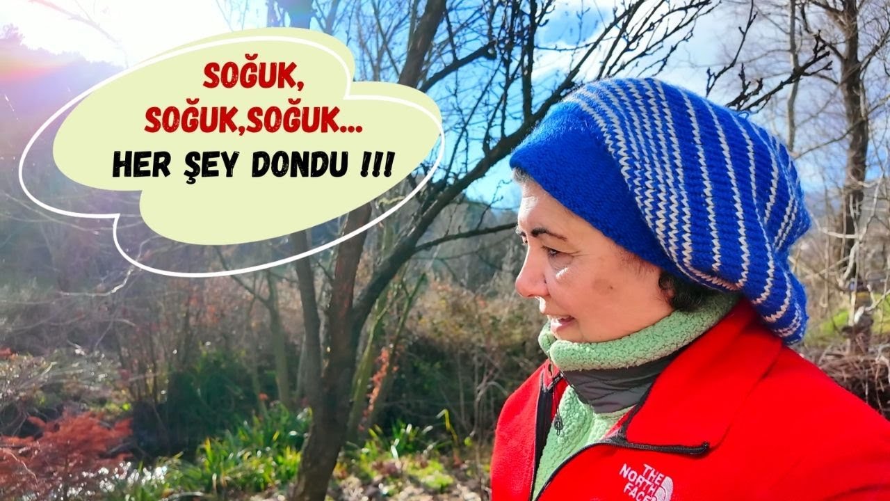 SOĞUK, SOĞUK, SOĞUK !!!   KÜMESİN KAPISI,  TAVUKLARIN SUYU  HER ŞEY AMA HER ŞEY DONMUŞ