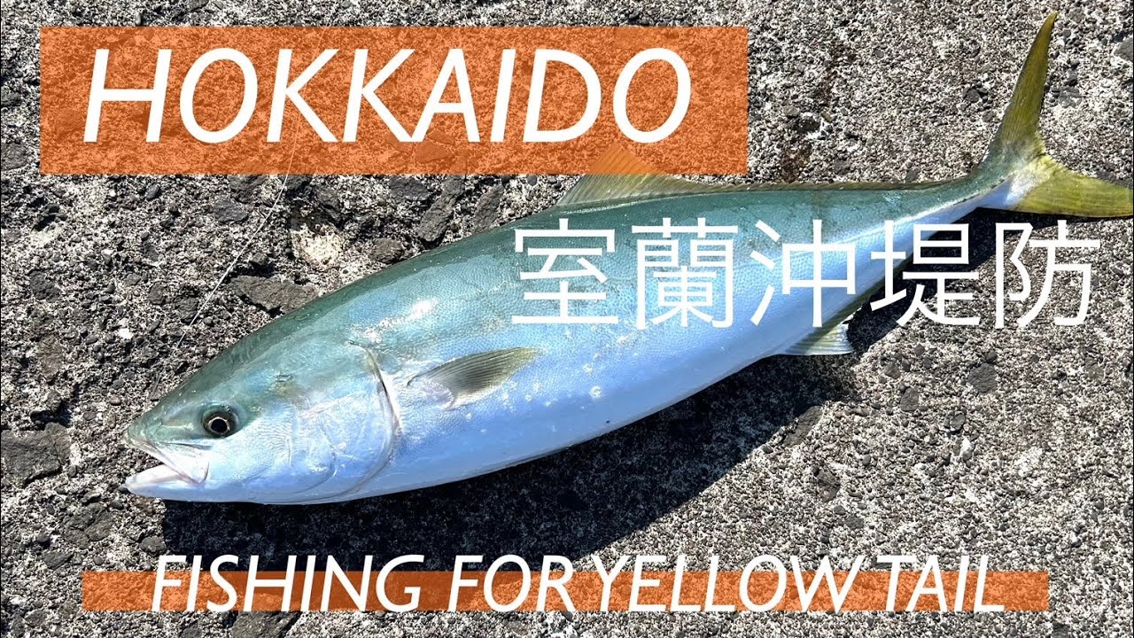 北海道釣り旅　室蘭沖堤防　青物大漁編