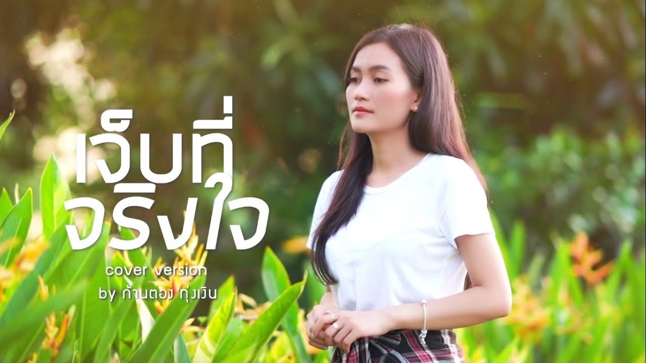 เจ็บที่จริงใจ - ก้านตอง ทุ่งเงิน 【COVER VERSION】