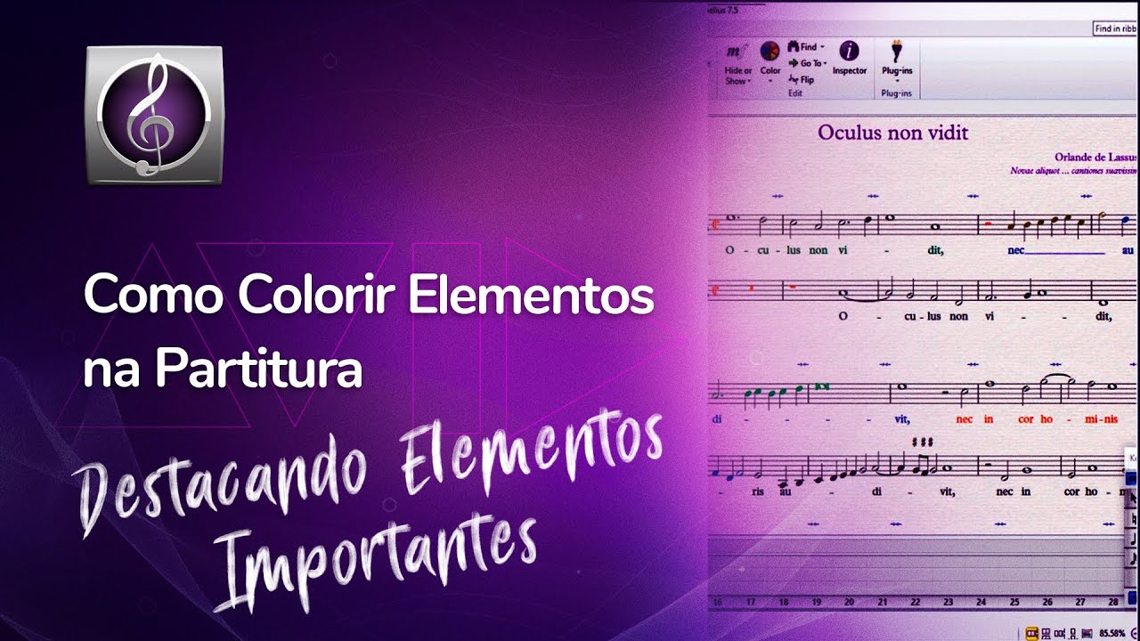 Sibelius Prático - Como colorir elementos na partitura (How to color the elements in the score)