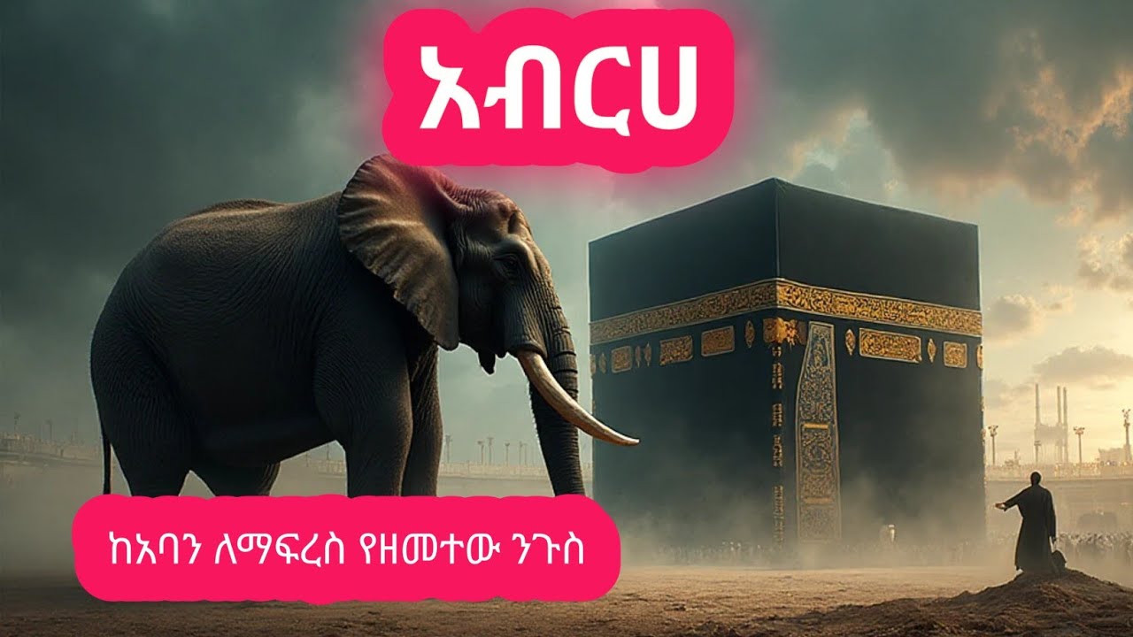 የአብራሃ ታሪክ | የዝሆን ዓመት ተአምር The Story of Abraha | The Miracle of the Year of the Elephant