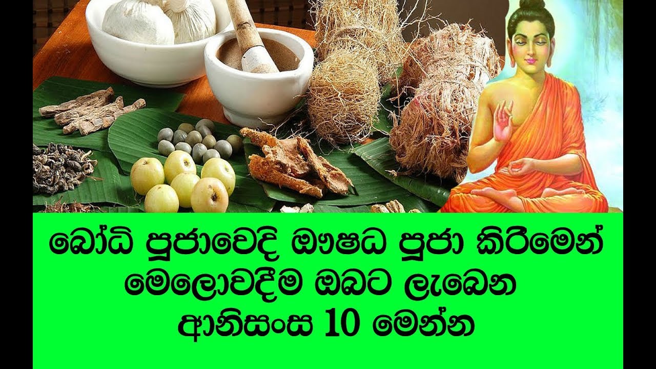 ඔබත් එක් දවසක් හරි බුදුන්ට ඖෂධ පූජා කර තිබෙනවා නම් ප්‍රතිපල මෙන්න - Bhodhi poojawa