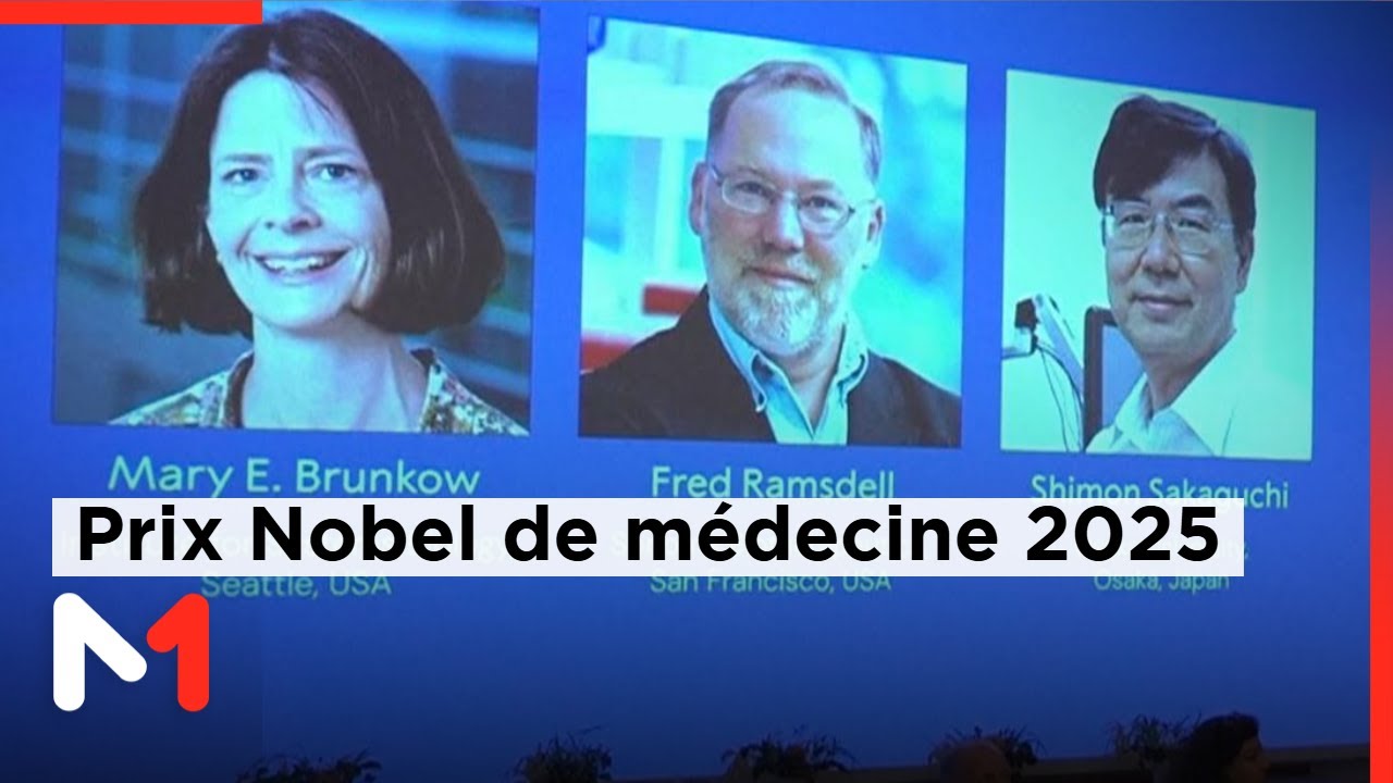 Le Nobel de m&eacute;decine r&eacute;compense une avanc&eacute;e cruciale pour la tol&eacute;rance immunitaire