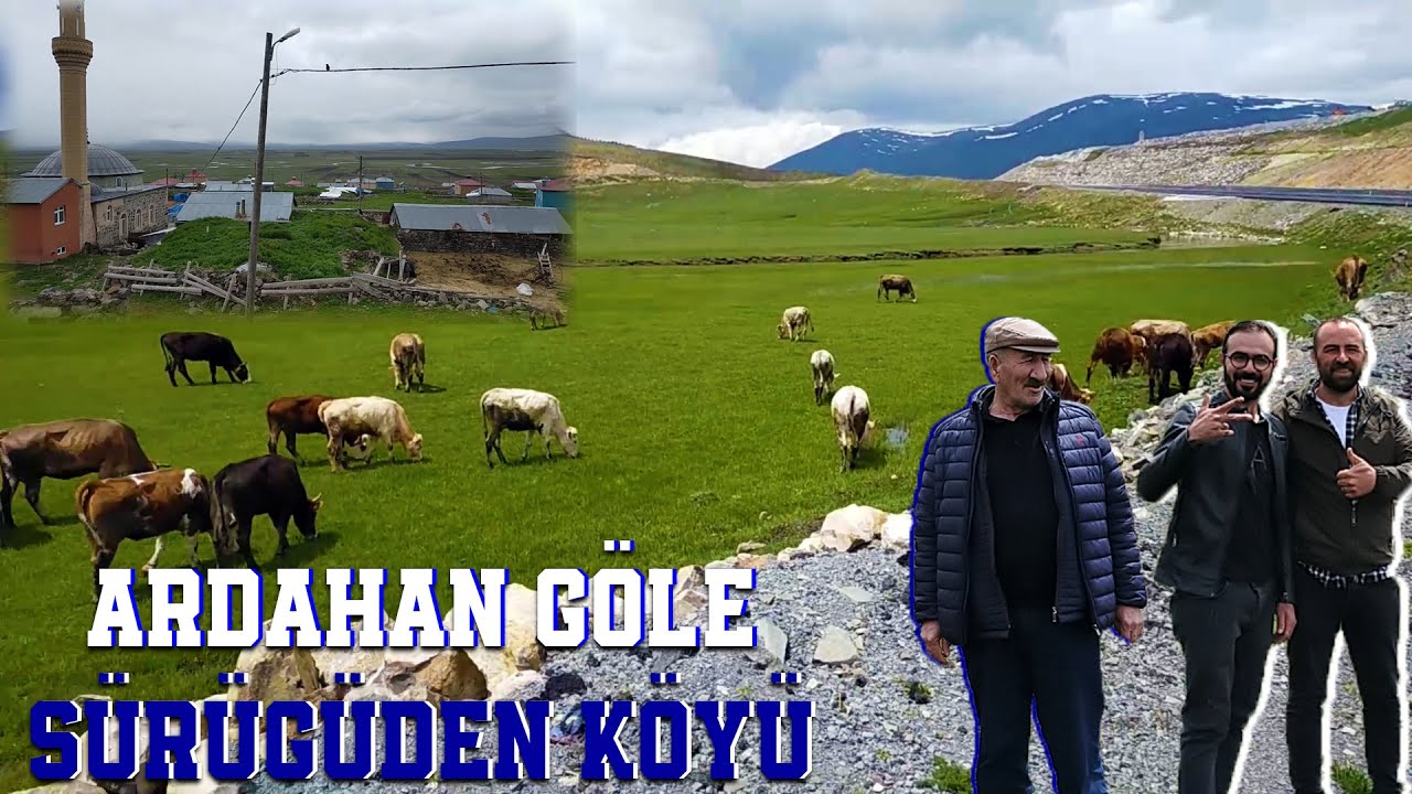 Ardahan Göle Sürügüden Köylüsü Olan Olmayan Herkes Bu Videoyu İzlesin !!!