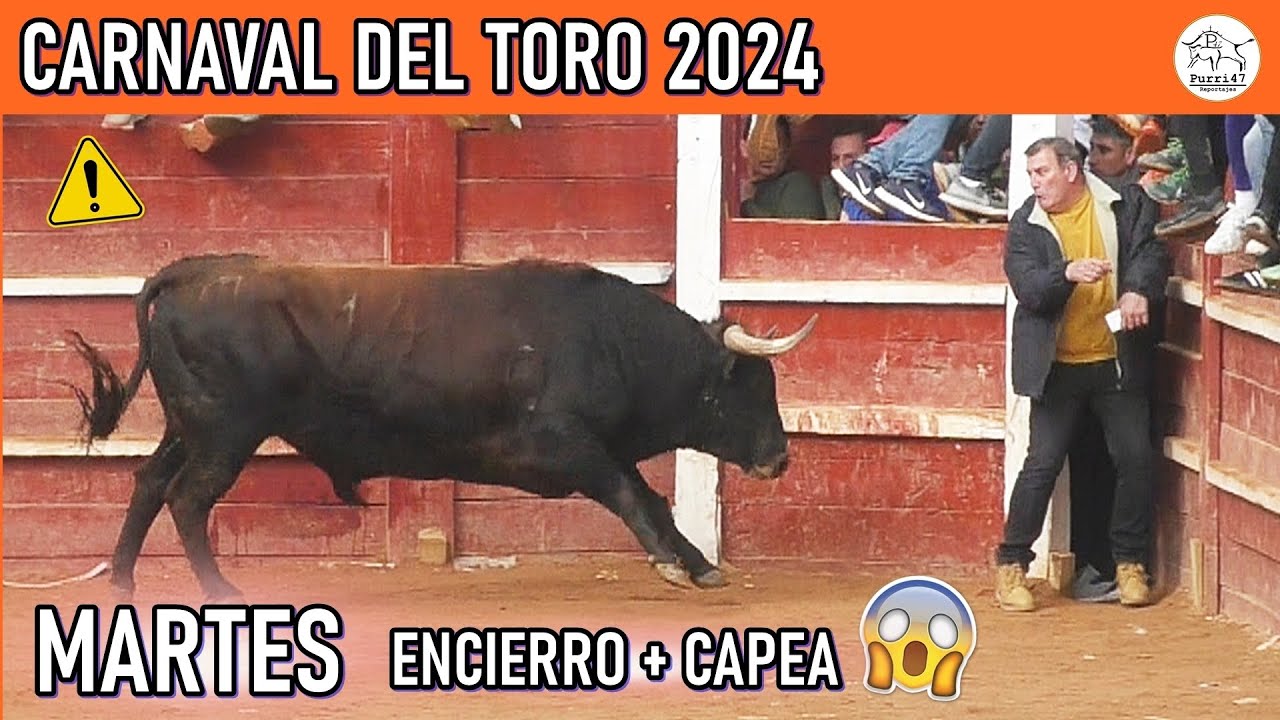 CARNAVAL DEL TORO//TORAZOS DE ALDEANUEVA!!CIUDAD RODRIGO 🔥🔔