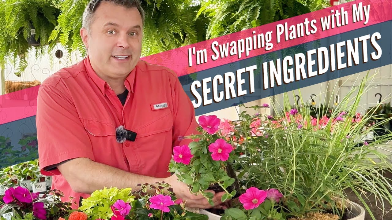 Planting Sun and Shade Proven Winners Container Recipes with My Own Adjustments