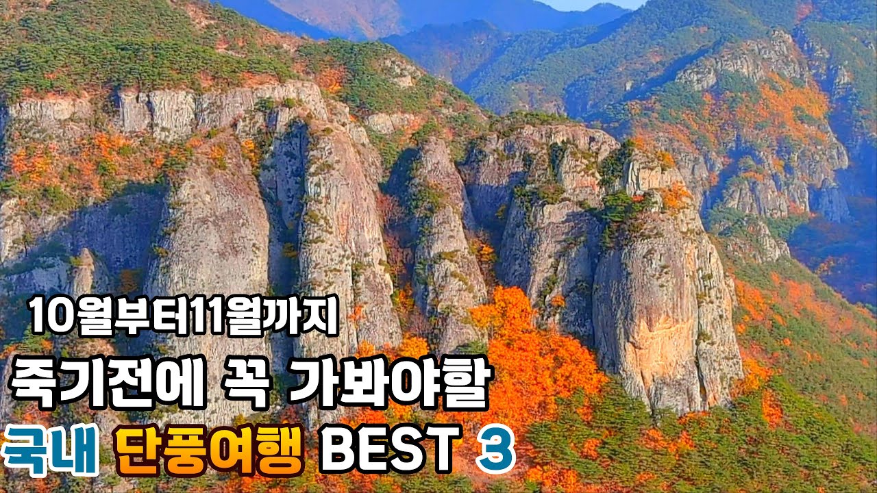 붐비지않고 차에서 바로내려 기가막힌 단풍구경 할만한곳  #오지산골다큐 #오지자동차여행 #오지암자