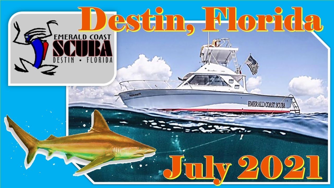 Destin, Florida Scuba Diving : Emerald Coast Scuba Divers | Sandbar Sharks and Lionfish Hunting