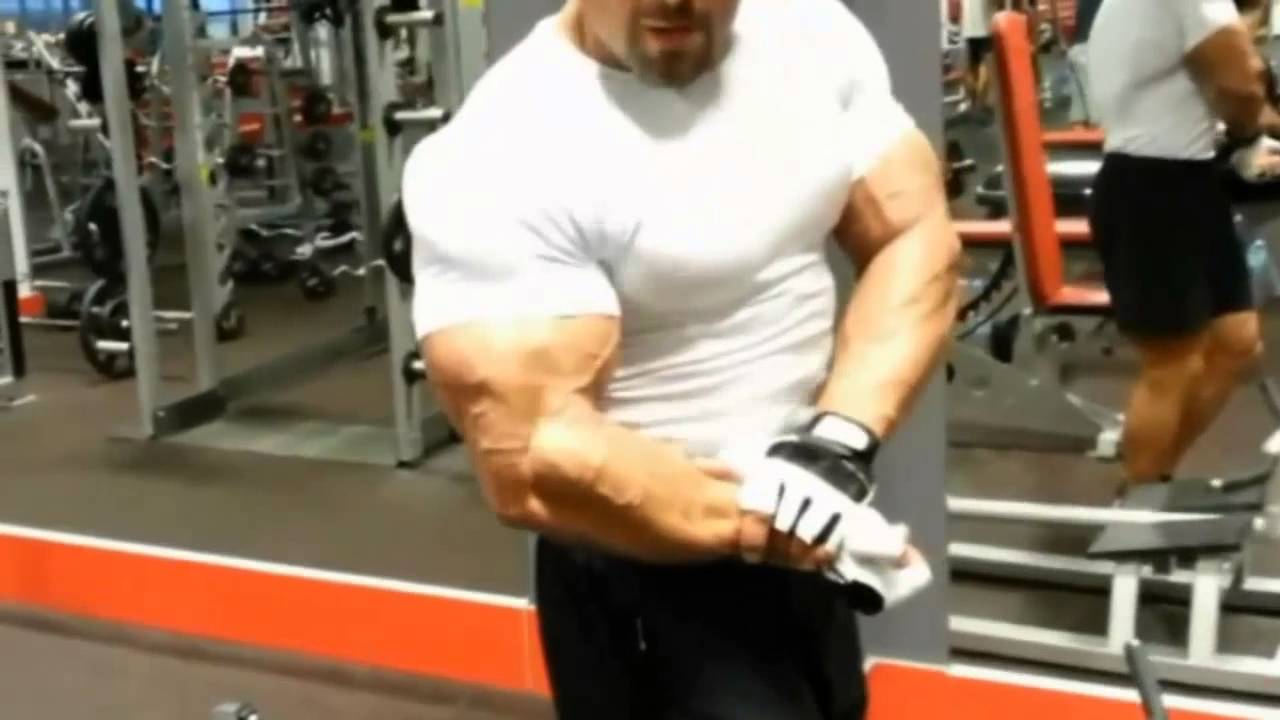Polish Bodybuilders - Polscy Kulturyści