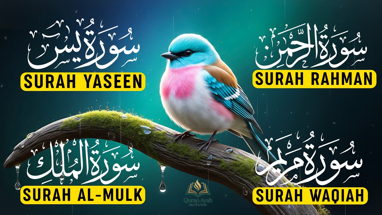 Calming Quran for Deep Sleep | Surah Yaseen | Rahman | Waqiah | Mulk | Reciter Ashraf Hussain Ep-38