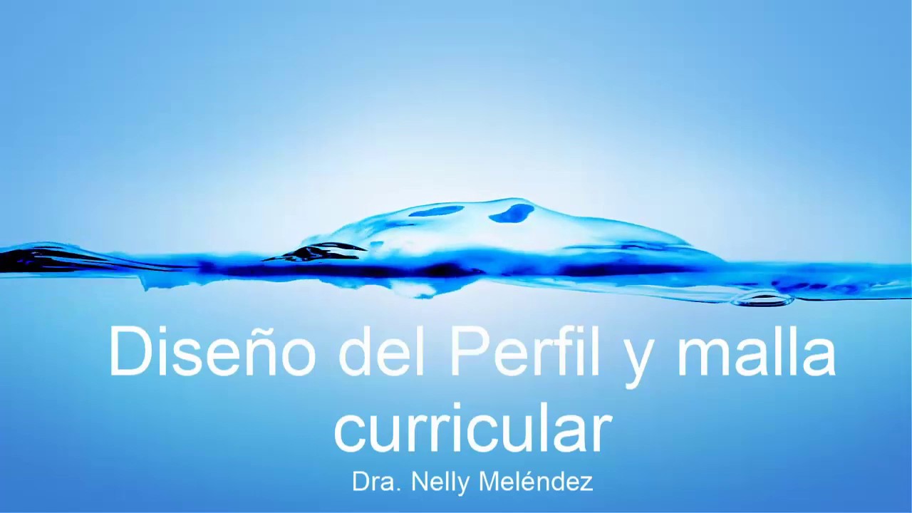 Elaboración de perfil y malla curricular por competencias