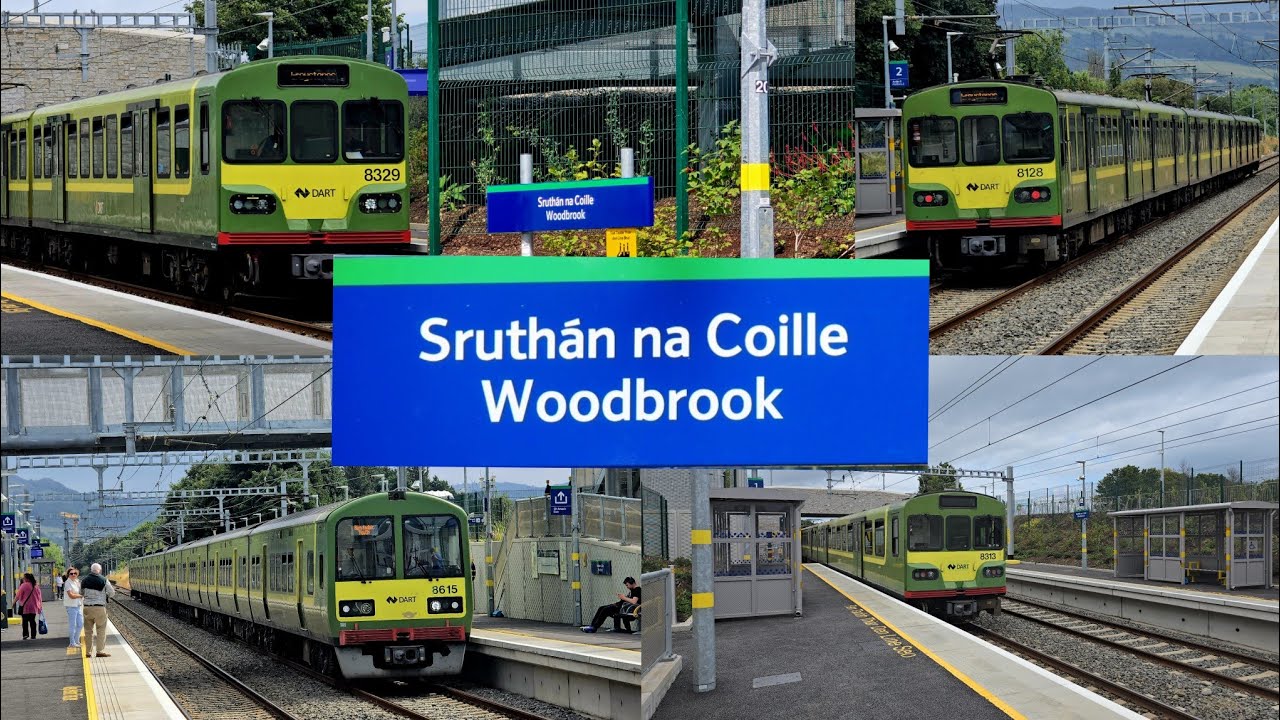 Afternoon DART services at the BRAND NEW Woodbrook Station.