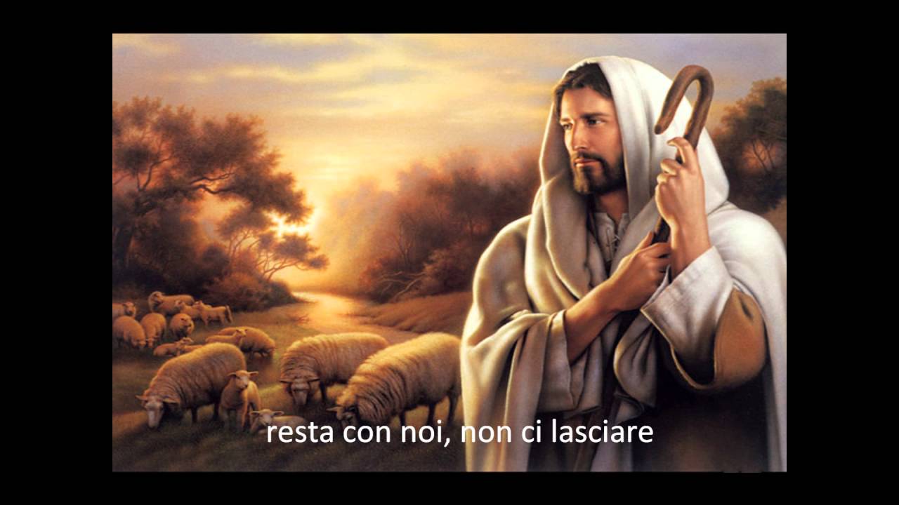Hai dato un cibo
