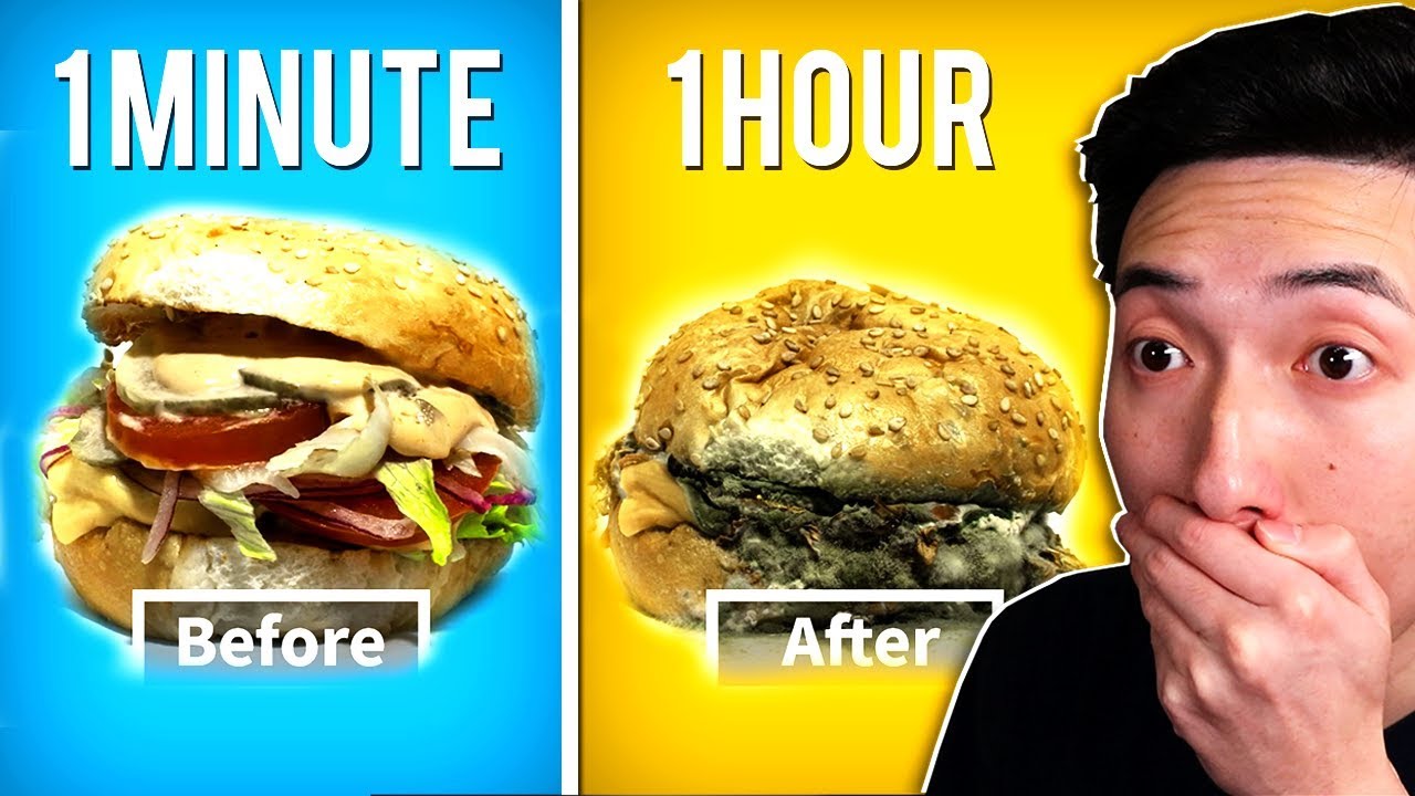 This FOOD Time Lapse Video Will DISGUST You!