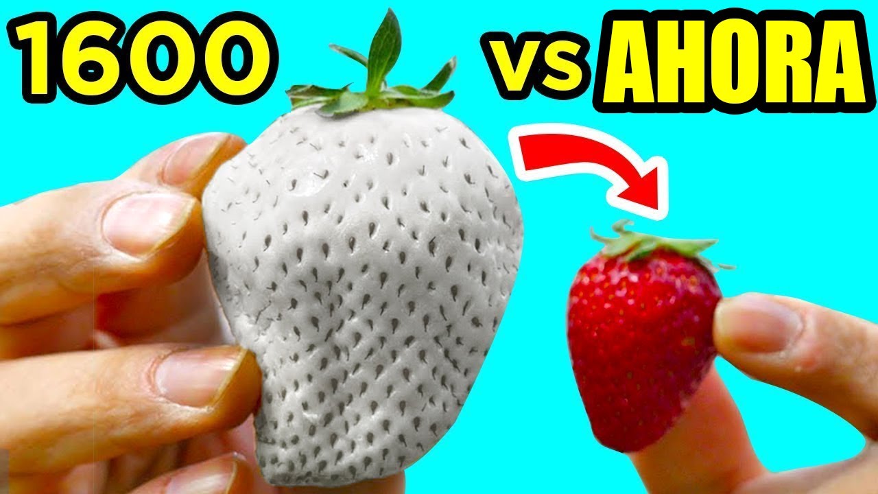 Comidas Que Originalmente Lucían Completamente Diferentes