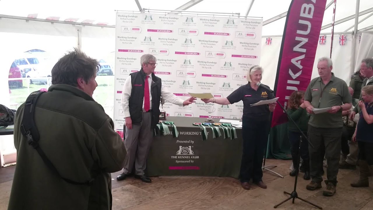 Kennel Club Novice HPR Working Test Awards