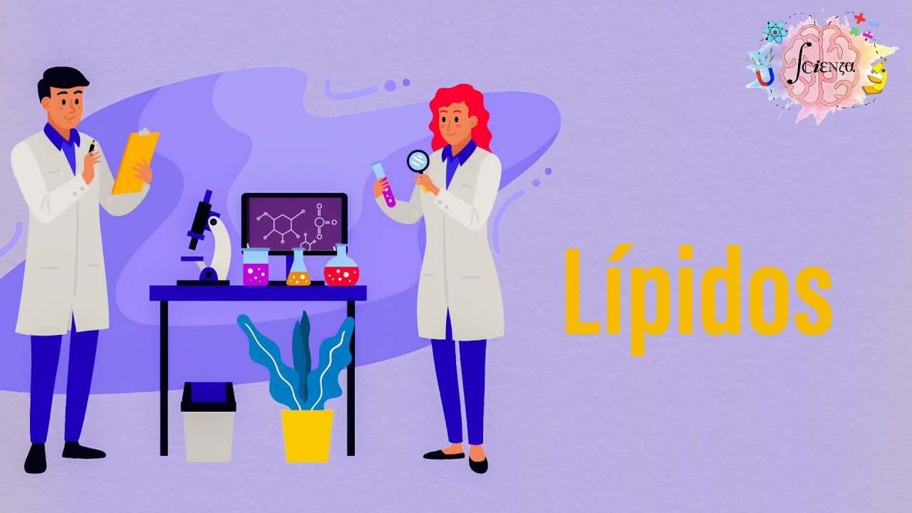 L&iacute;pidos: Aspectos generales y clasificaci&oacute;n