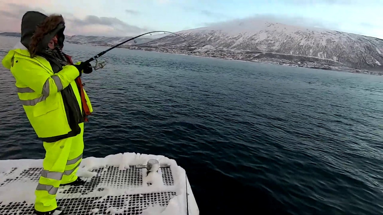 Wedkowanie w Tromso i krotka wycieczka po okolicy razem gosciem z Chelma.