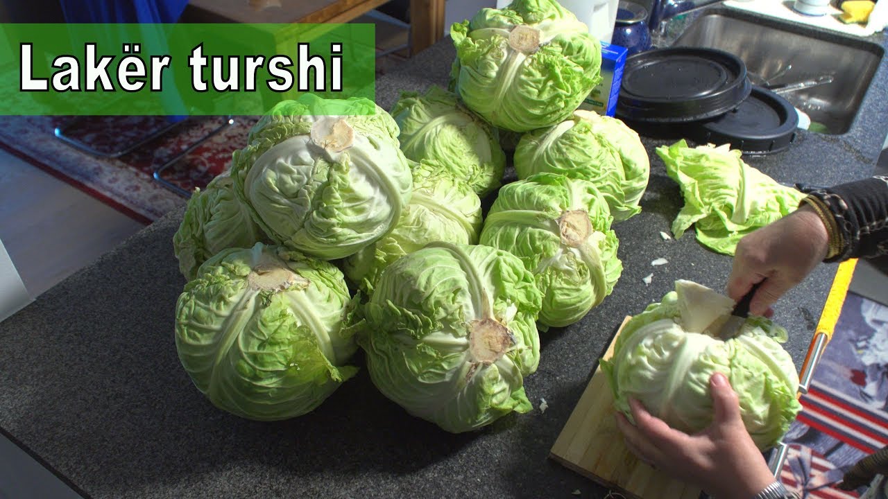 Lakër Turshi Receta e Nënës 