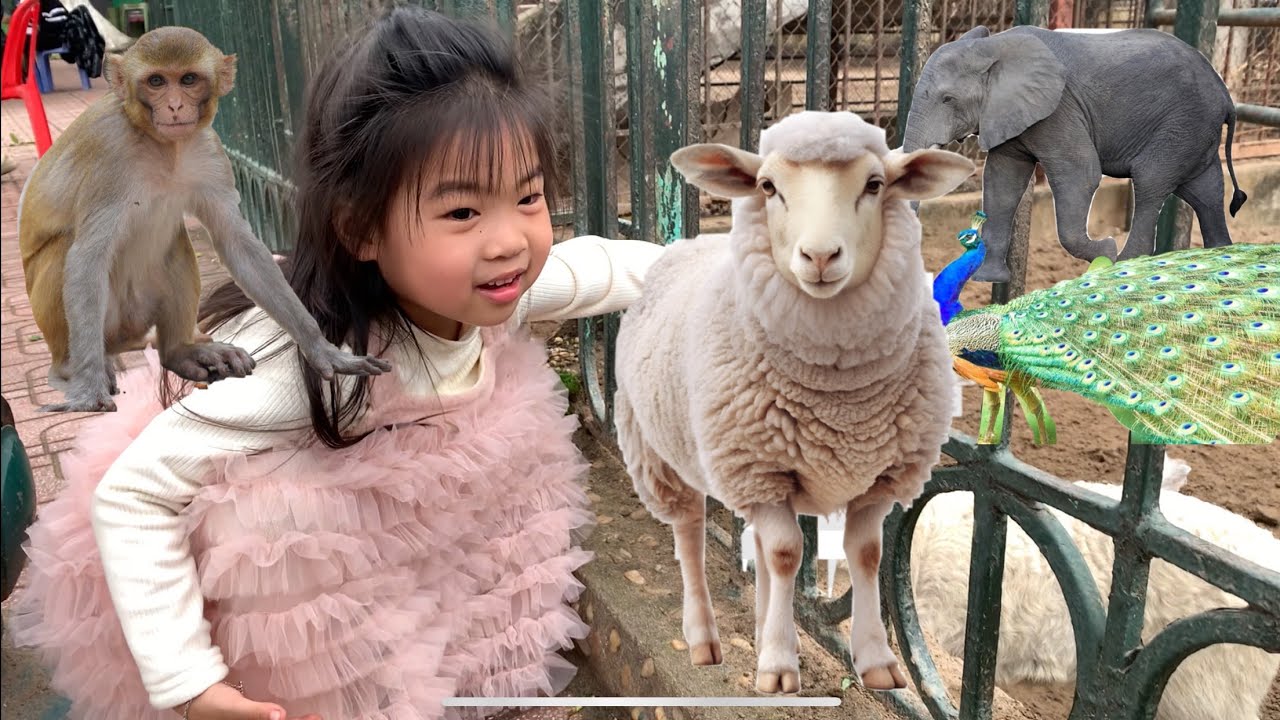 An Vy Đi Chơi Công Viên Thủ Lệ Vườn Thú Các Con Vật