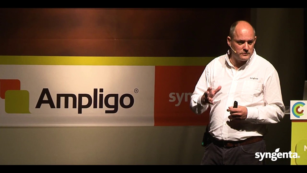 Syngenta- Caldas da Rainha - Apresentação Ampligo
