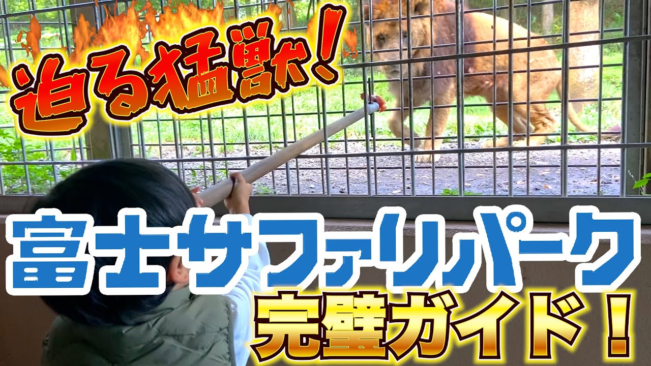 【ほんとに】必見！富士サファリパーク一日密着！！【ライオン】