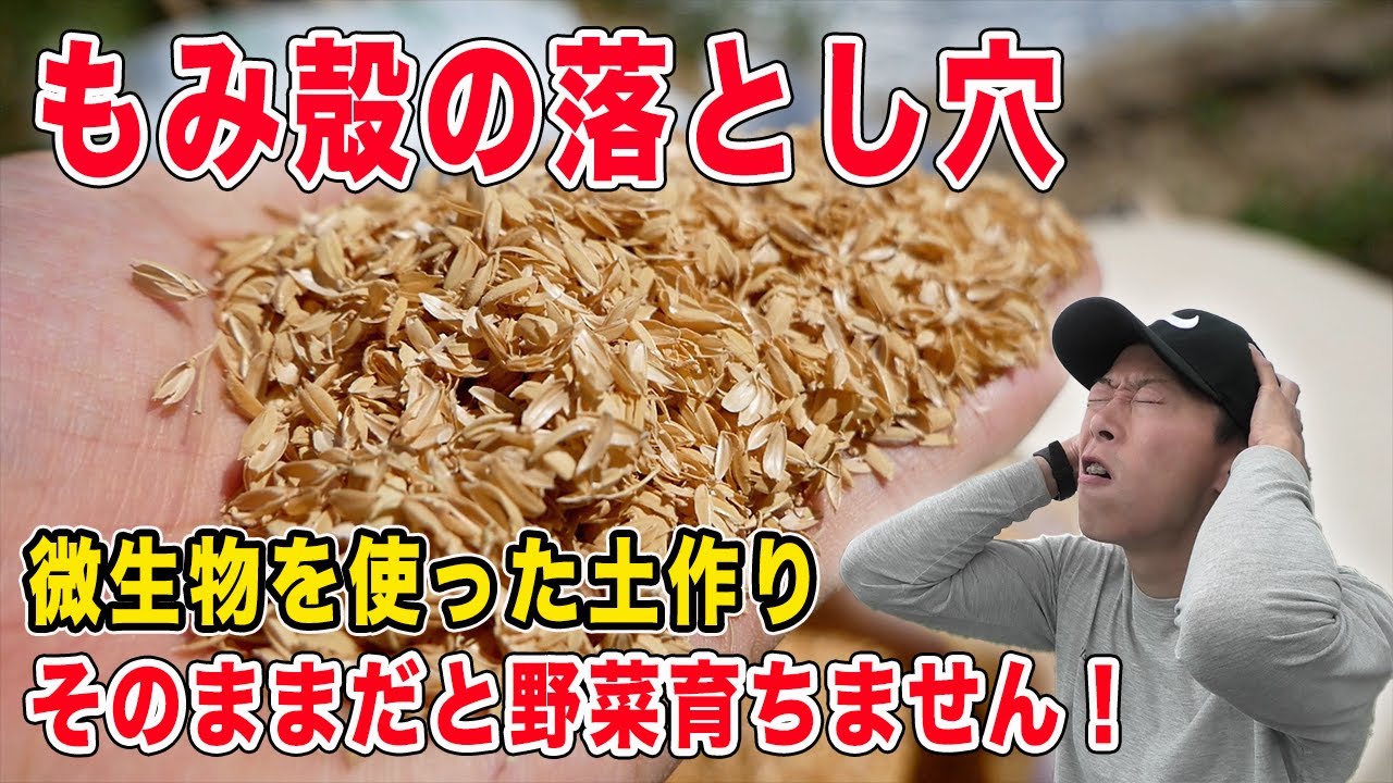 籾殻を使った土作りは危険！？微生物と窒素の重要性【カルスNC-R】