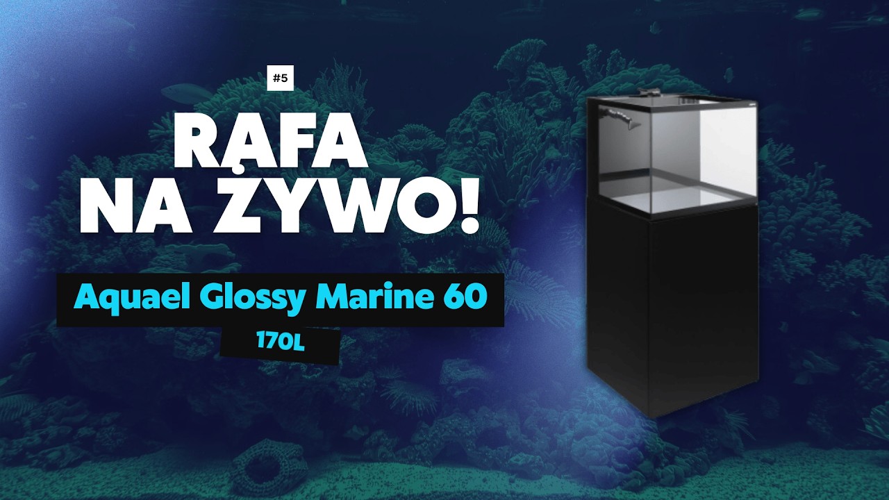 LIVE Aquael Glossy Marine #1 - Aktualizacja, problemy i plany na rozwój