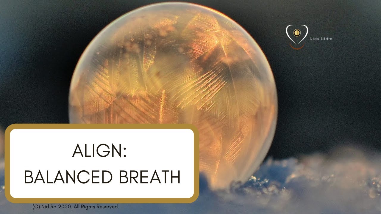 Align Part 2: Balanced Breath Meditation