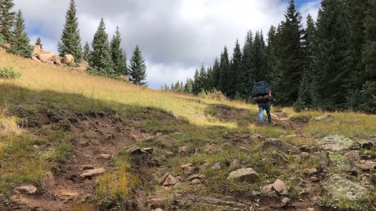 Backpacking San Pedro Parks Wilderness | Day 1 | Cows In The Wilderness!