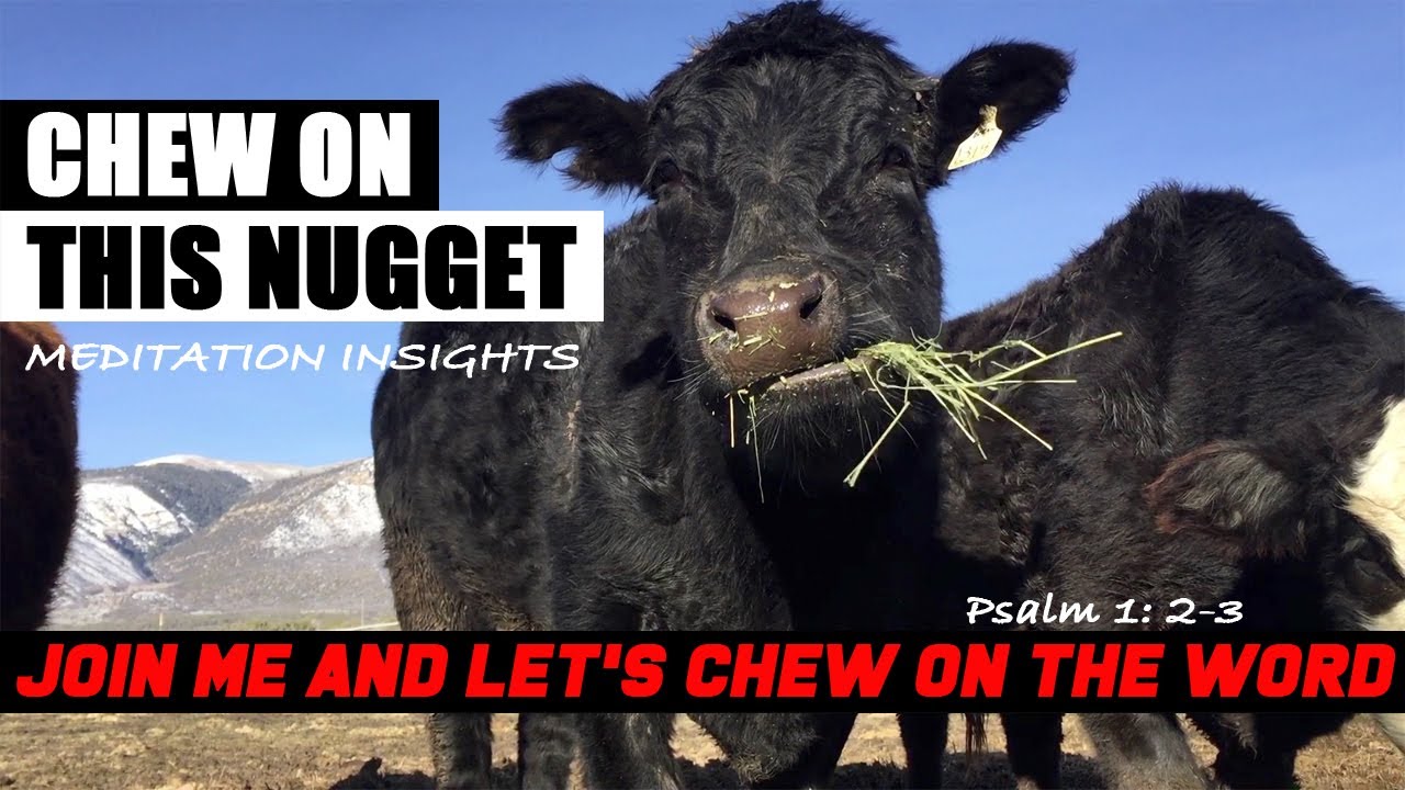 Like a cow that chews the cud, let's chew insight out of the word together through meditation